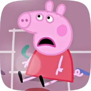 🐷