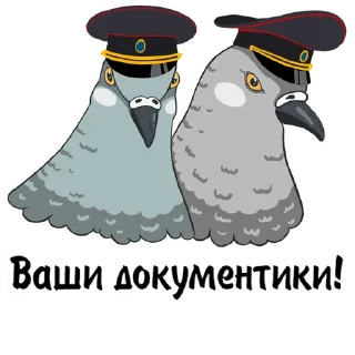 🐦
