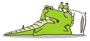 🐊