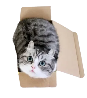 📦