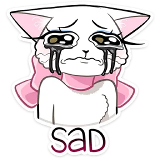 🐱