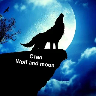 🐺