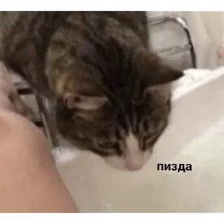 😲