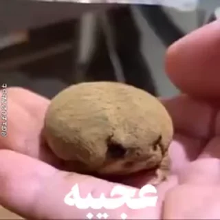😃