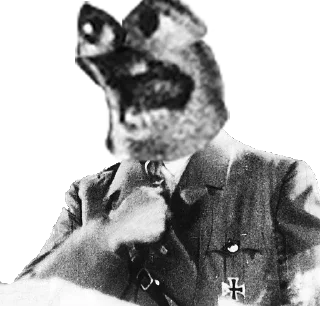 🇩🇪