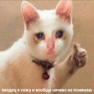 😔