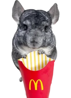 🍟