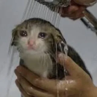 🥺
