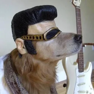 🎸