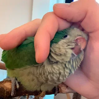 ❤️