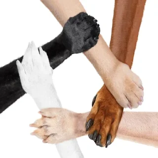 🤝