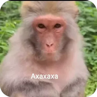 😆