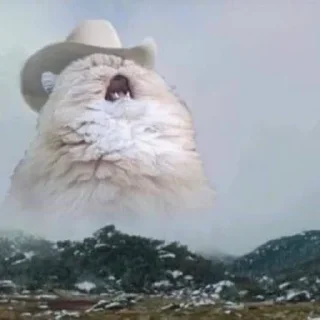 😩