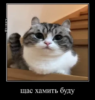 😦
