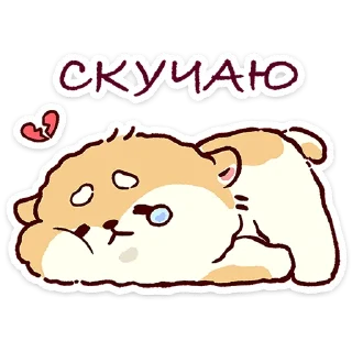 🌟
