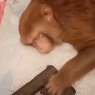 🤩
