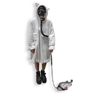 🐰