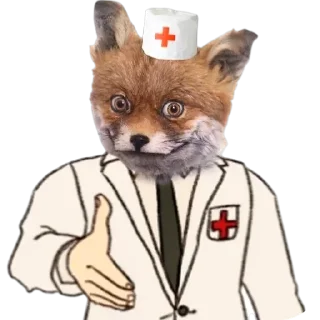 🦊