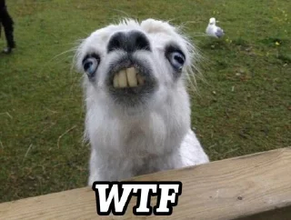 😯