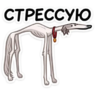 😨
