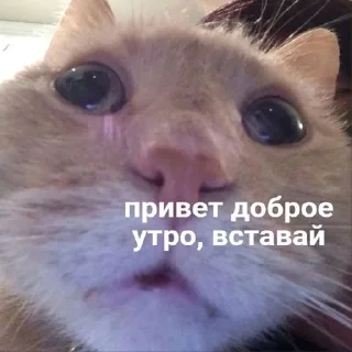 😀