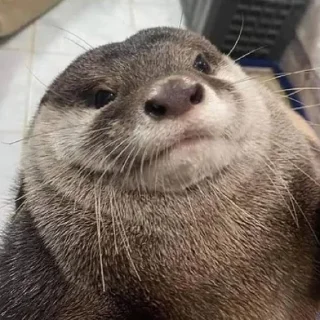 😑