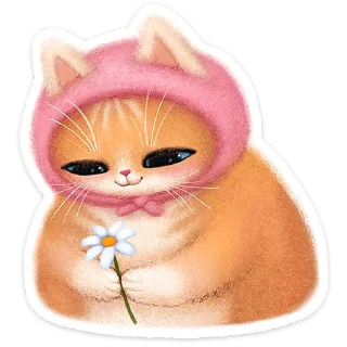 🐱