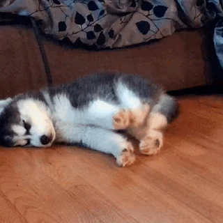 💤