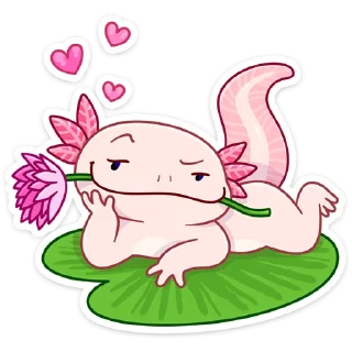 🌹