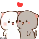 😽