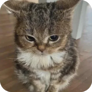 😠