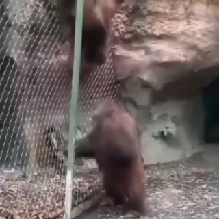 😎