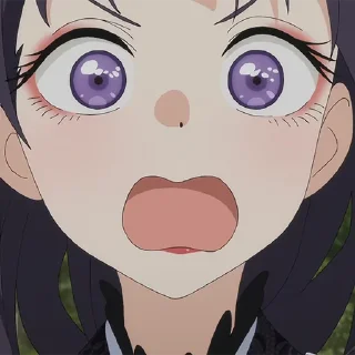 ✨