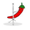Perchik