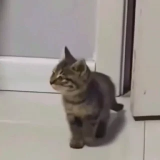 🤩
