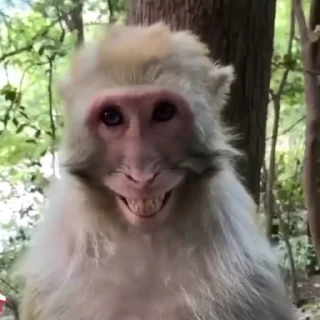 😁