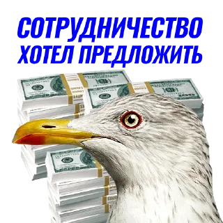 💰