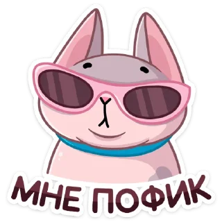 😎