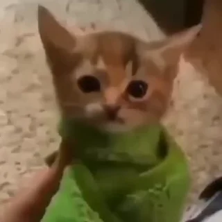 😳