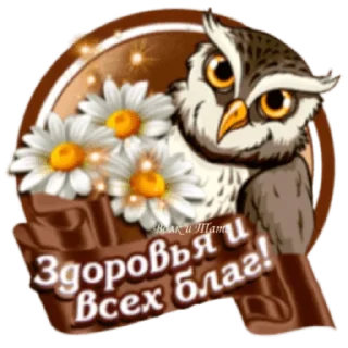 🦉