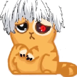 🙈
