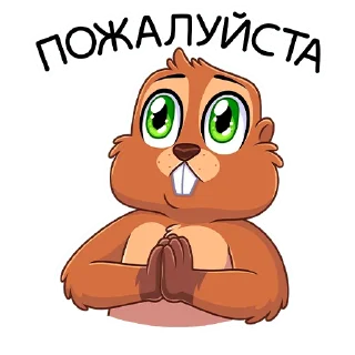 🙏