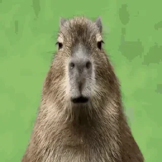 ☺