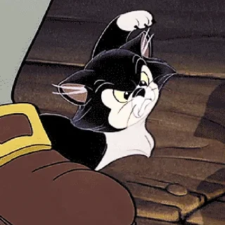 😾