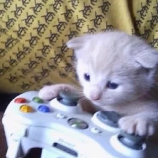 🎮
