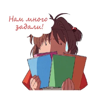 📚
