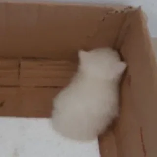 ☹️