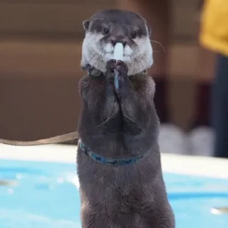 🎤