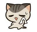🐱