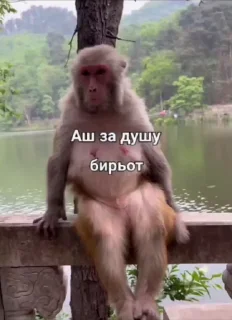 🤩
